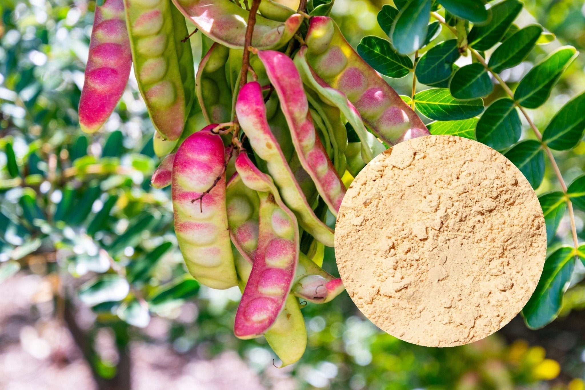 Tara Gum: A Natural Thickening Agent - Cape Crystal Brands