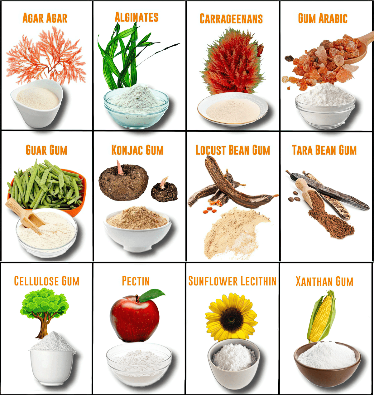 Discovering the Advantages of Hydrocolloids in Food Products - Cape Crystal Brands