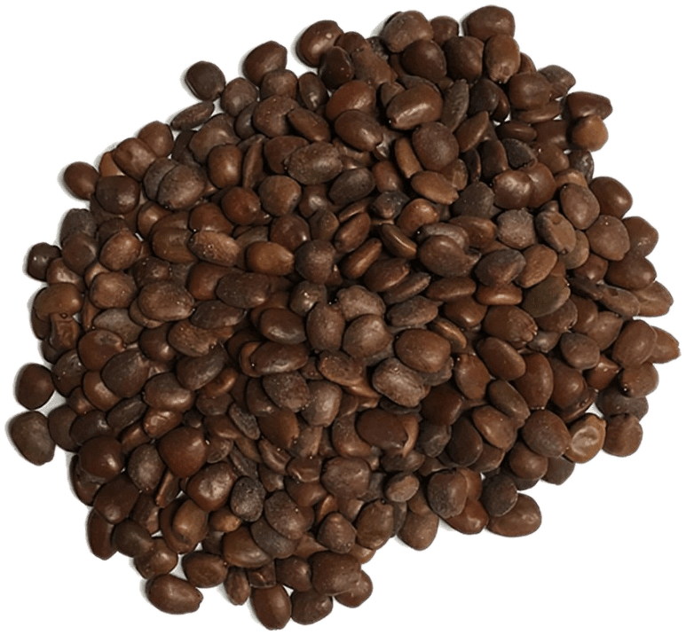 Unlocking the Health Benefits of Locust Bean Gum - Cape Crystal Brands