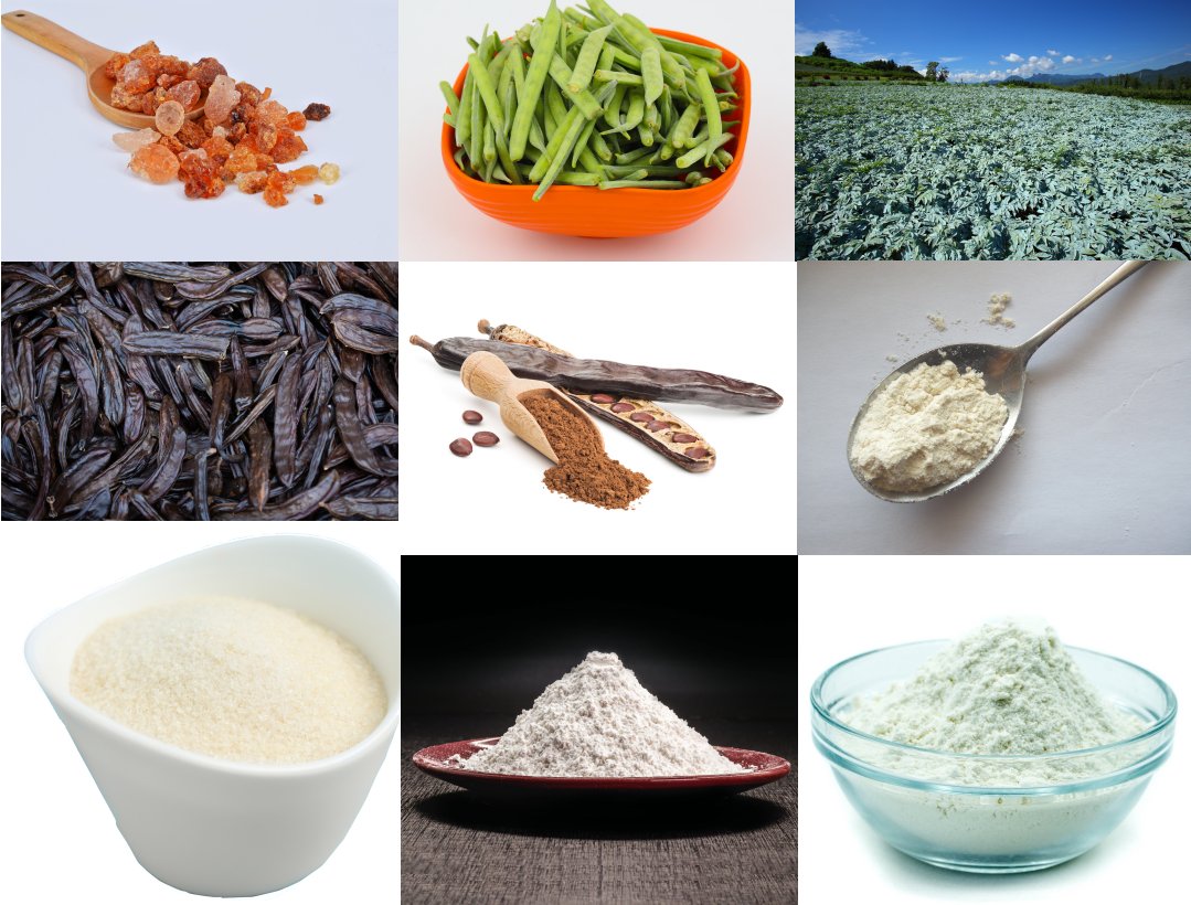 Sustainable Hydrocolloids: Eco-Friendly Ingredients Shaping the Future of Food