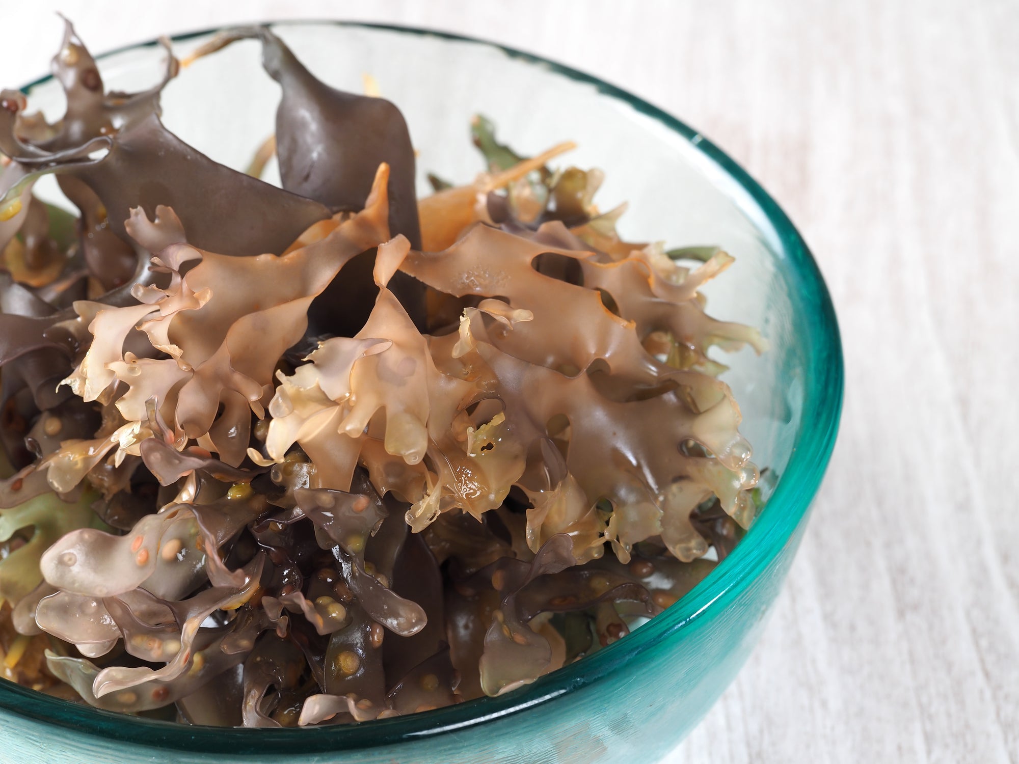 Kappa Carrageenan: Unraveling this Versatile Ingredient from Red Seaweed in the Food Industry - Cape Crystal Brands