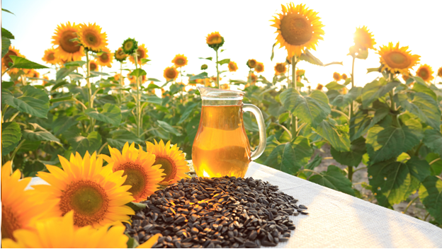 Sunflower Lecithin: A Natural Wonder for Health and Wellness