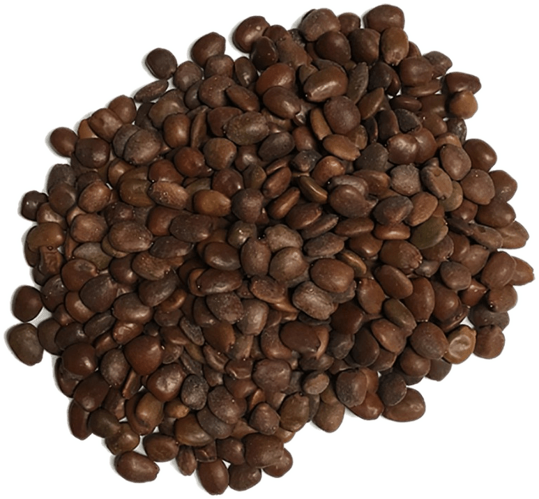 Unlocking the Health Benefits of Locust Bean Gum - Cape Crystal Brands