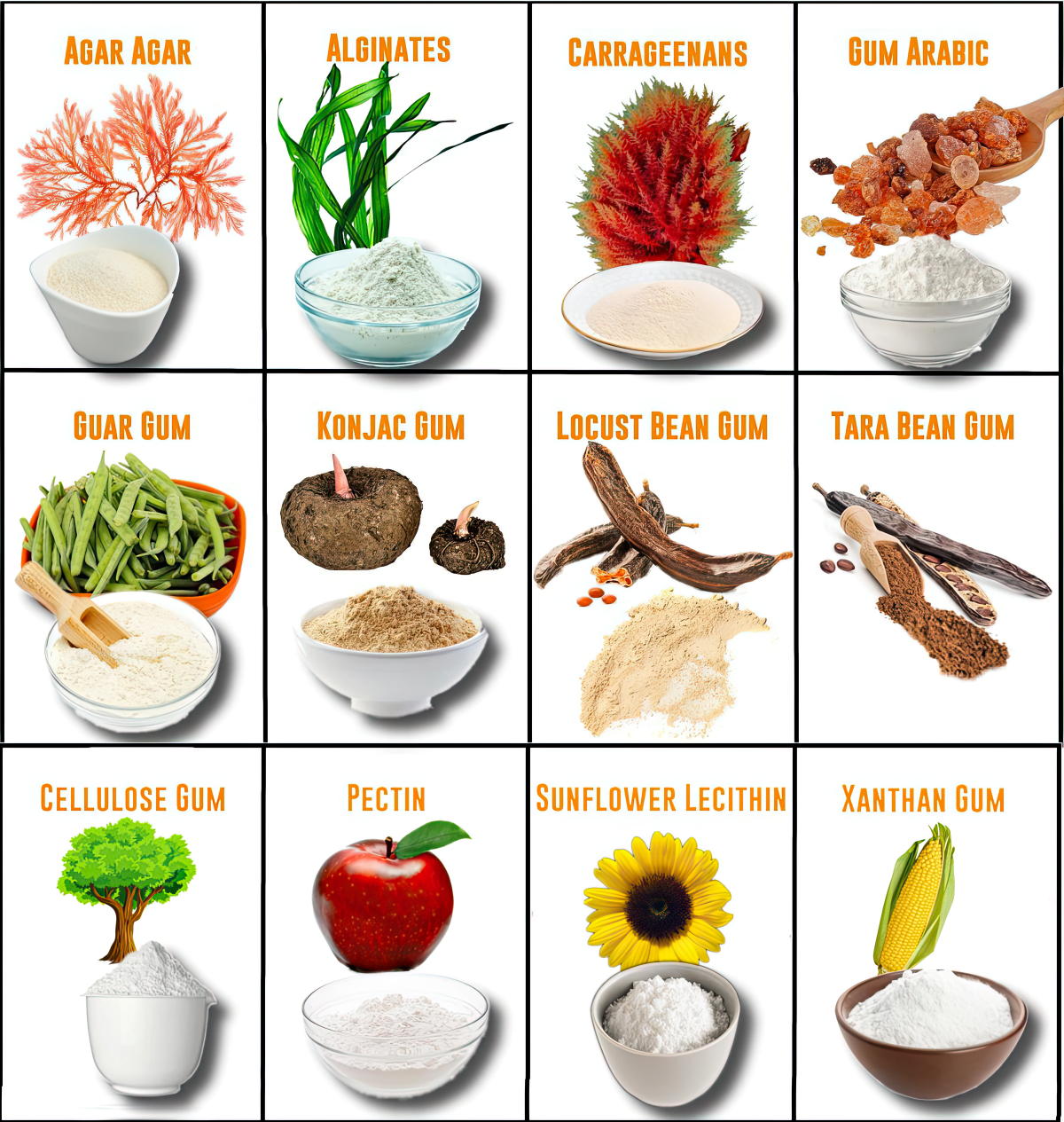 Food Thickeners, Emulsifiers, Stabilizers, Acidifiers and Gums – Cape ...