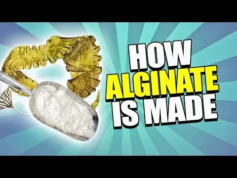Video of how alginate is made.
