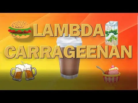 Lambda Carregeenan - The Dairy Food Thickener and Extender