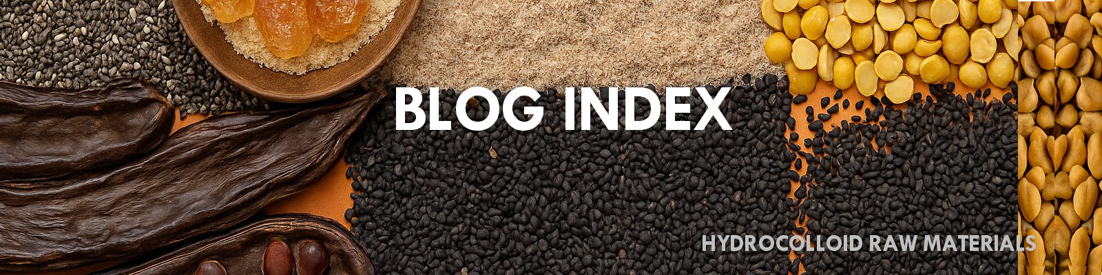 Blog Index Banner